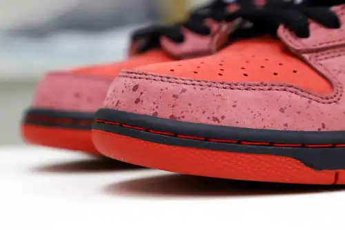 Concepts X Nike Dunk Sb Low Red Lobster 