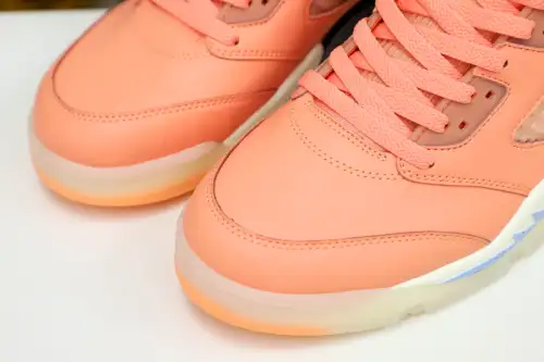 Dj Khaled X Jordan Air Jordan 5 