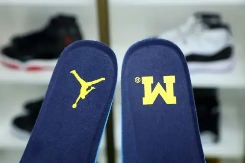 Jordan Air Jordan 4 