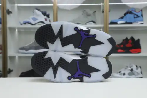 Air Jordan 6 Flint 