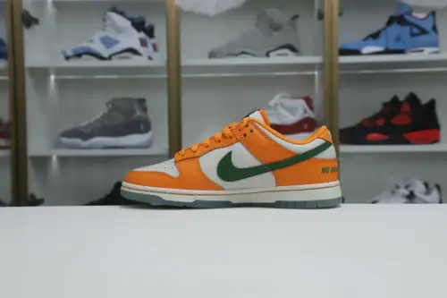 Nike Dunk Low Florida A&M X 