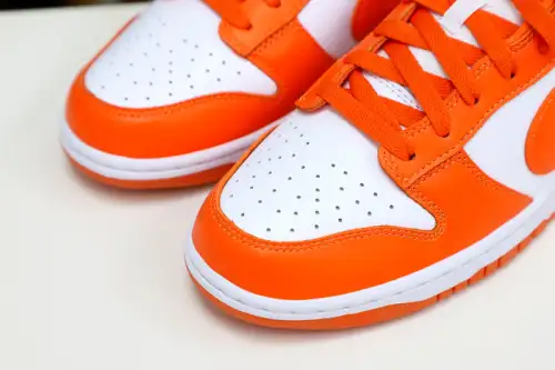 Nike Dunk Low Retro Sp 
