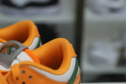 Nike Dunk Low Florida A&M X 