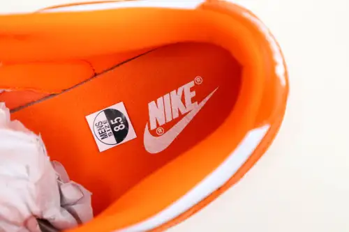 Nike Dunk Low Retro Sp 
