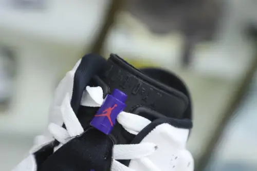 Air Jordan 6 Flint 