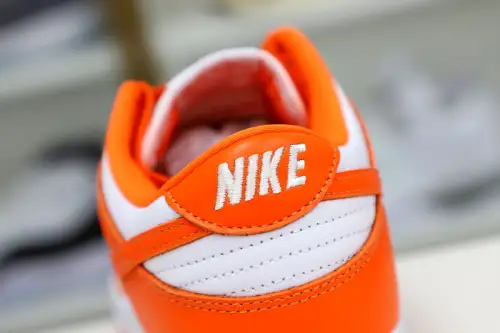 Nike Dunk Low Retro Sp 