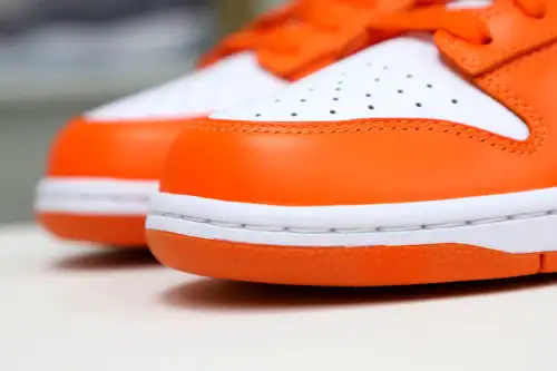 Nike Dunk Low Retro Sp 