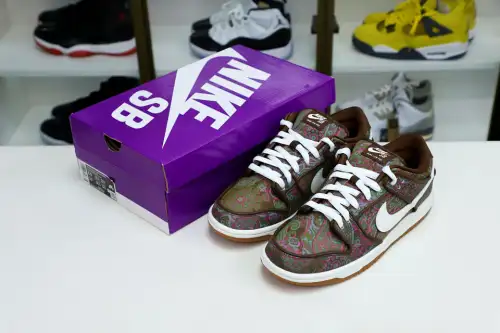 Nike Dunk Sb Low Paisley 807336
