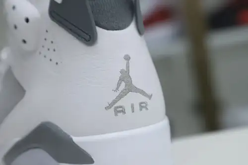 Air Jordan 6 Cool Grey 
