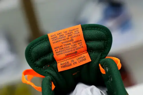 Nike Dunk Retro Minami Hurricanes 