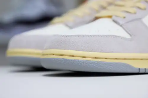 Nike Dunklow 