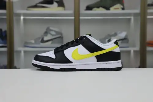 Nike Dunk Low 