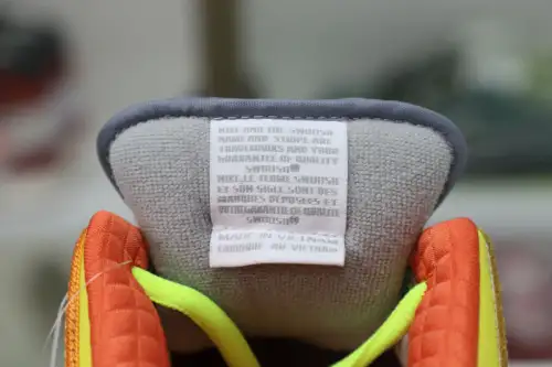 Nike Dunk Sb Lowwhat The Dunk 