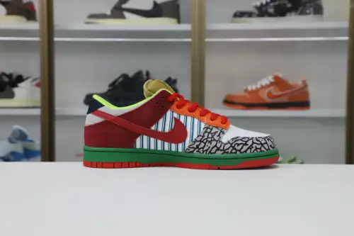 Nike Dunk Sb Lowwhat The Dunk 