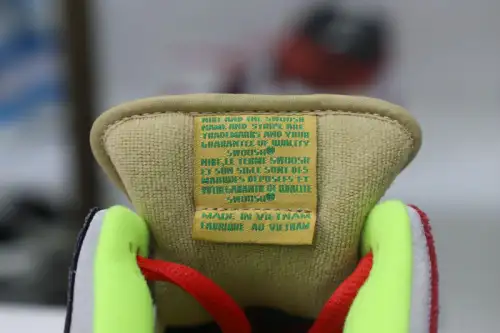 Nike Dunk Sb Lowwhat The Dunk 