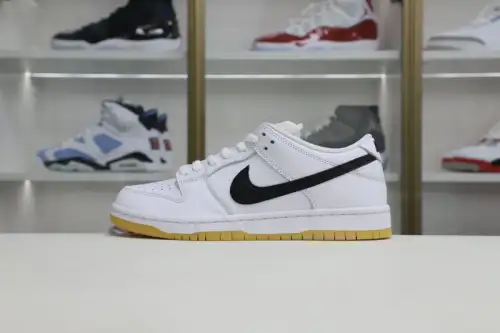 Nike Dunk Sb Low Pro Iso 