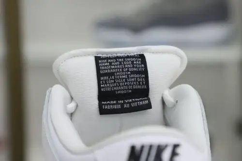 Nike Dunk Sb Low Pro Iso 
