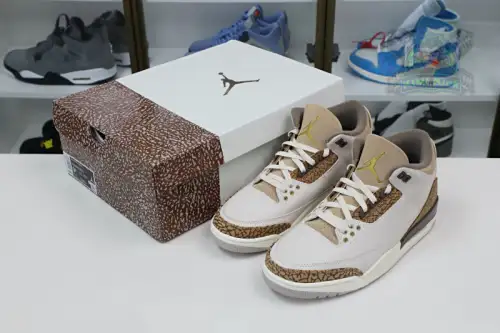 Jordan Air Jordan3 