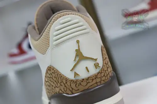 Jordan Air Jordan3 