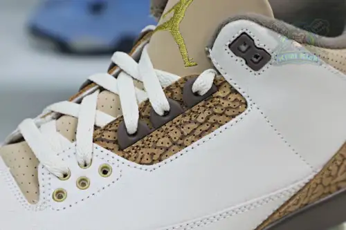 Jordan Air Jordan3 
