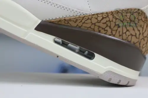 Jordan Air Jordan3 