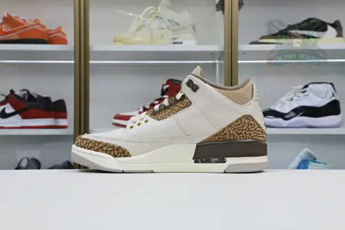 Jordan Air Jordan3 