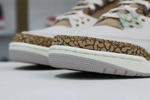 Jordan Air Jordan3 