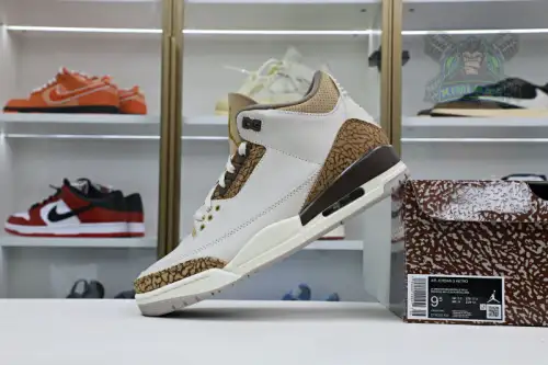 Jordan Air Jordan3 
