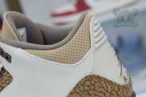 Jordan Air Jordan3 