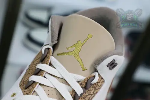 Jordan Air Jordan3 