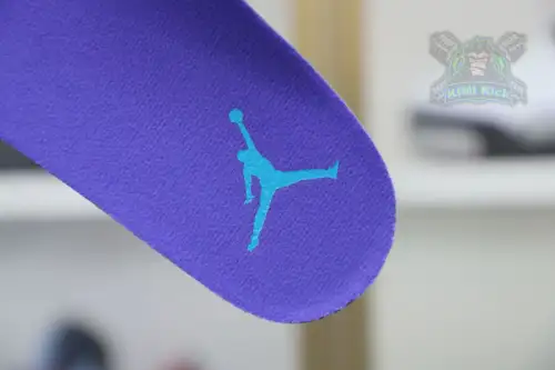 Jordan Air Jordan6 
