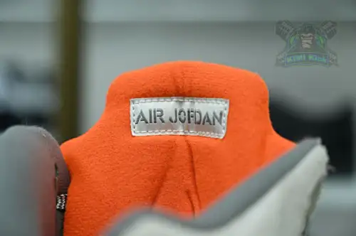 Jordan Air Jordan5 Se 