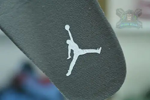 Jordan Air Jordan5 Se 