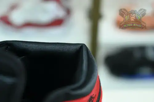 Jordan Air Jordan 1 High Og 