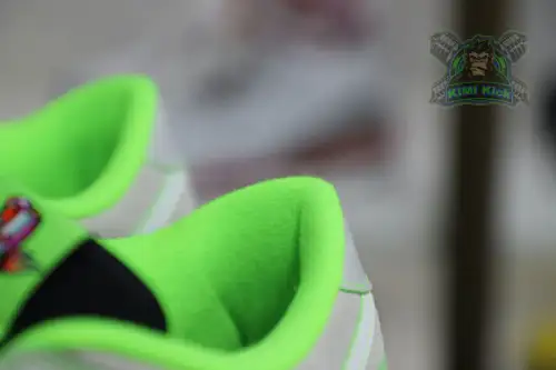 Nike Dunk Low University Of Oregon Pe 