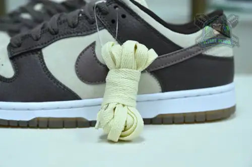Nike Dunklow 