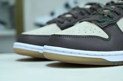 Nike Dunklow