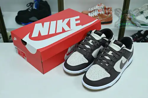 Nike Dunklow 