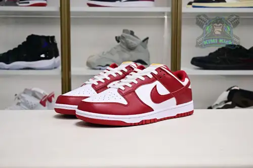 Nike Dunk Low Retro 