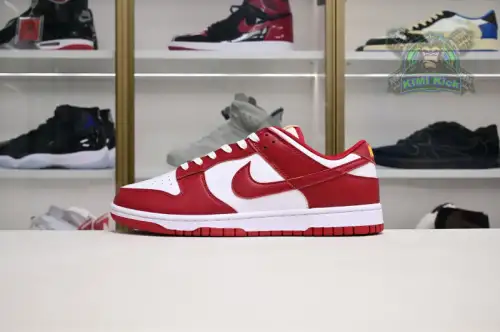 Nike Dunk Low Retro 