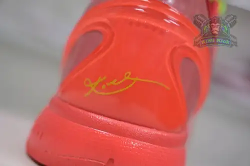 Nike Zoom Kobe 6 Protro 