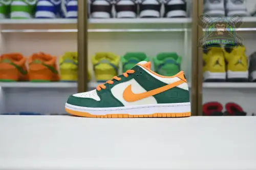 Nike Dunk Sb Low Pro 