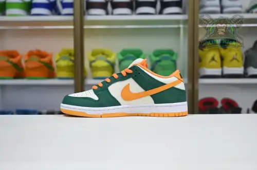 Nike Dunk Sb Low Pro 