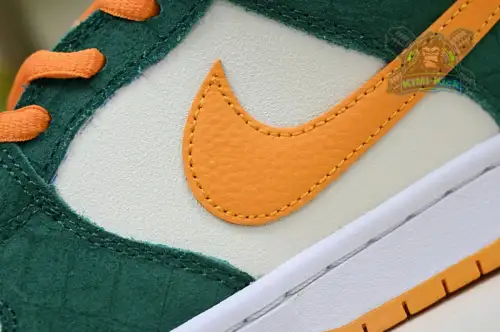 Nike Dunk Sb Low Pro 