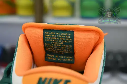 Nike Dunk Sb Low Pro 