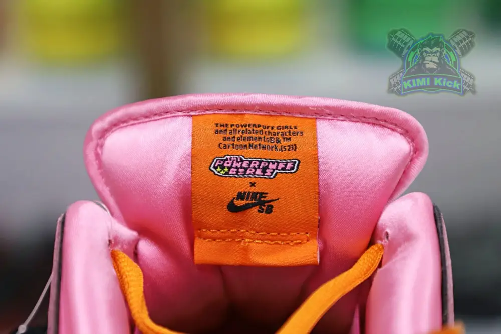 The Powerpuff Girls X Nike Dunk Sb Low 