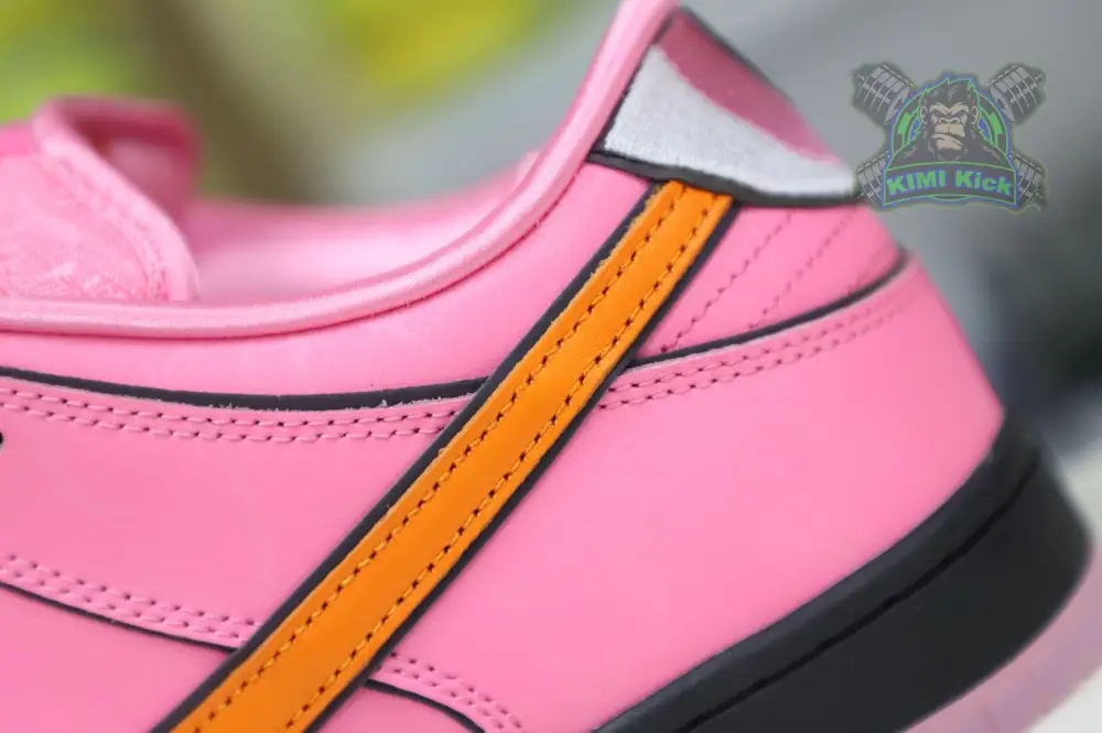 The Powerpuff Girls X Nike Dunk Sb Low 