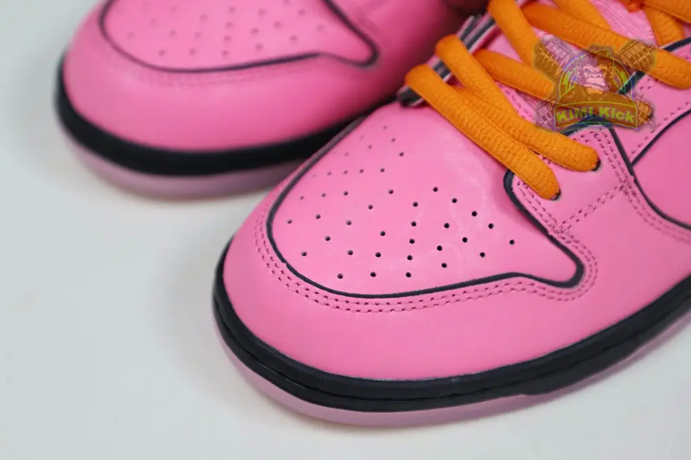 The Powerpuff Girls X Nike Dunk Sb Low 