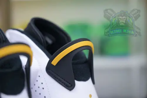 Air Jordan 6 