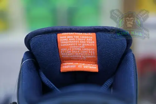 Nike Dunk Sb Low Pro Iso 